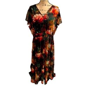 NWT Haver & Blair London dress 2X